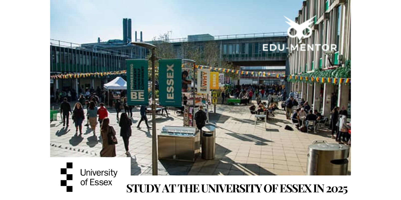 Study law and medicine at the University of Essex in the UK for Indian and international students